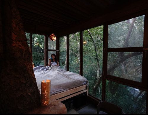 スパイラルツリーハウス