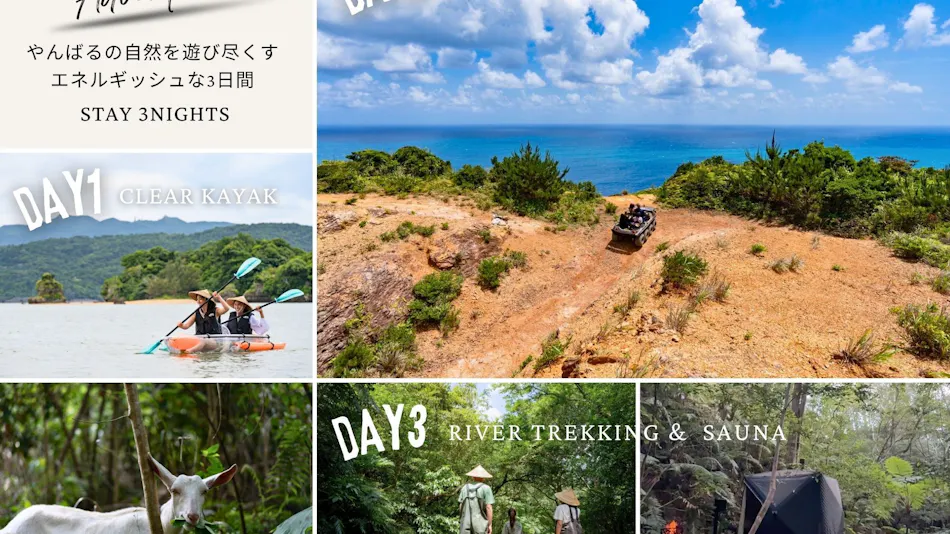Treeful Treehouse Sustainable Resort