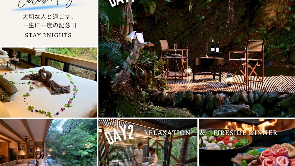 Treeful Treehouse Sustainable Resort
