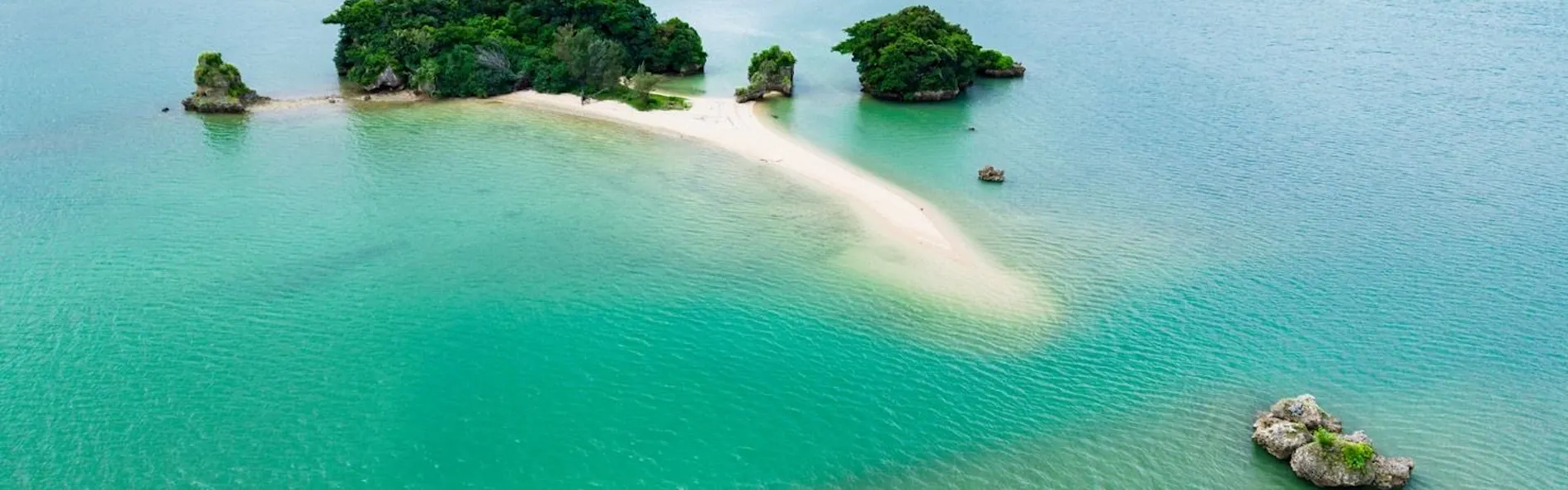 Treeful Treehouse Sustainable Resort Okinawa