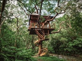 Treeful Treehouse Sustainable Resort Okinawa&nbsp;施設全景
