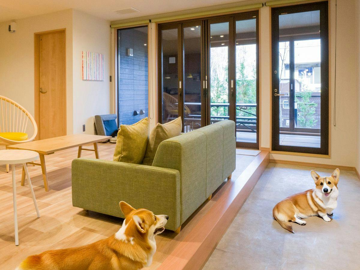 大切な愛犬と過ごす特別な時間。誰にも邪魔されない、極上プライベート旅！（素泊まり）