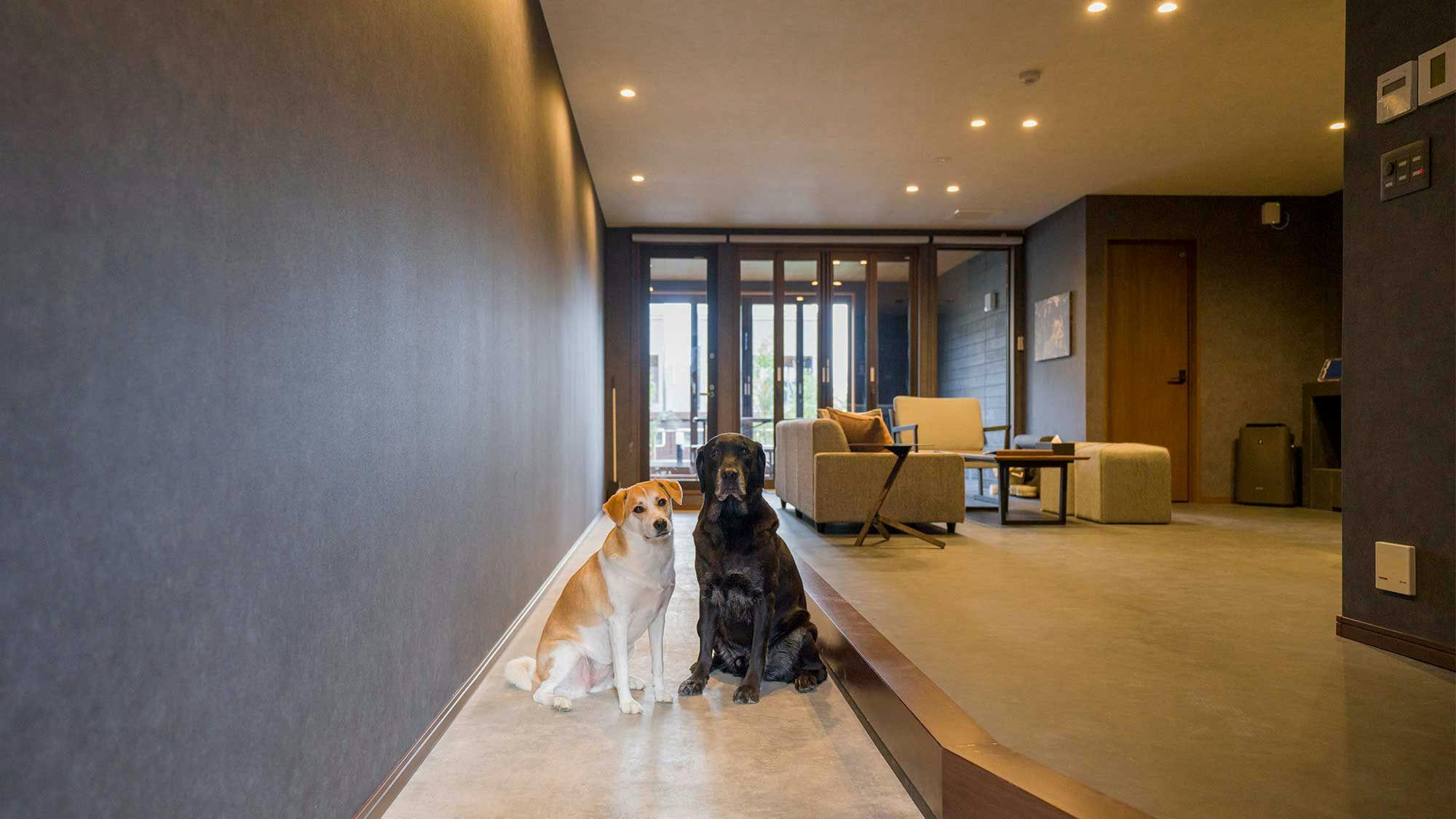 ペットとのご滞在