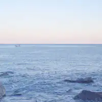 目の前に広がる赤沢の海です。