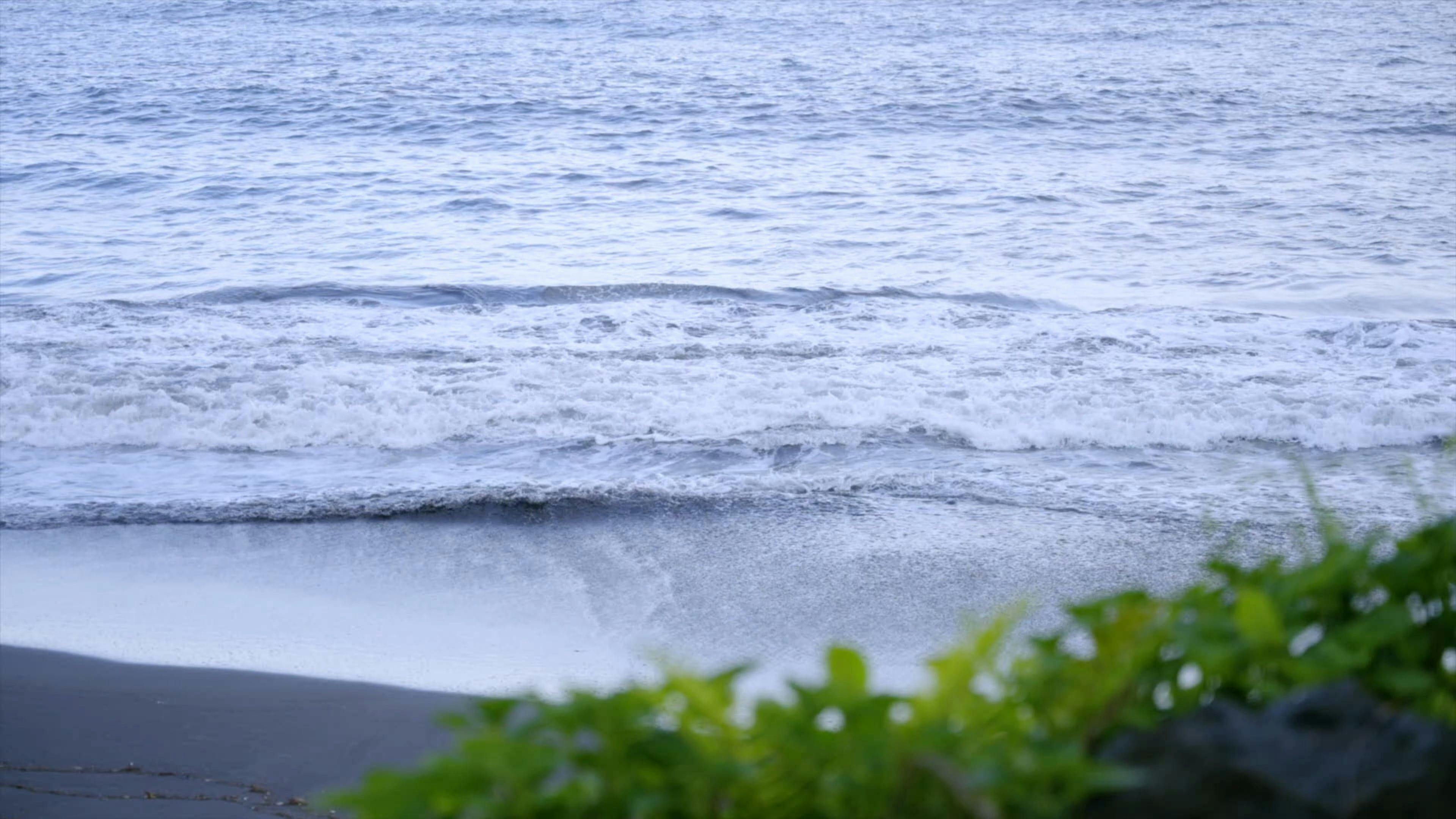 すぐ近くに砂浜があります。