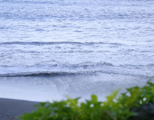 すぐ近くに砂浜があります。