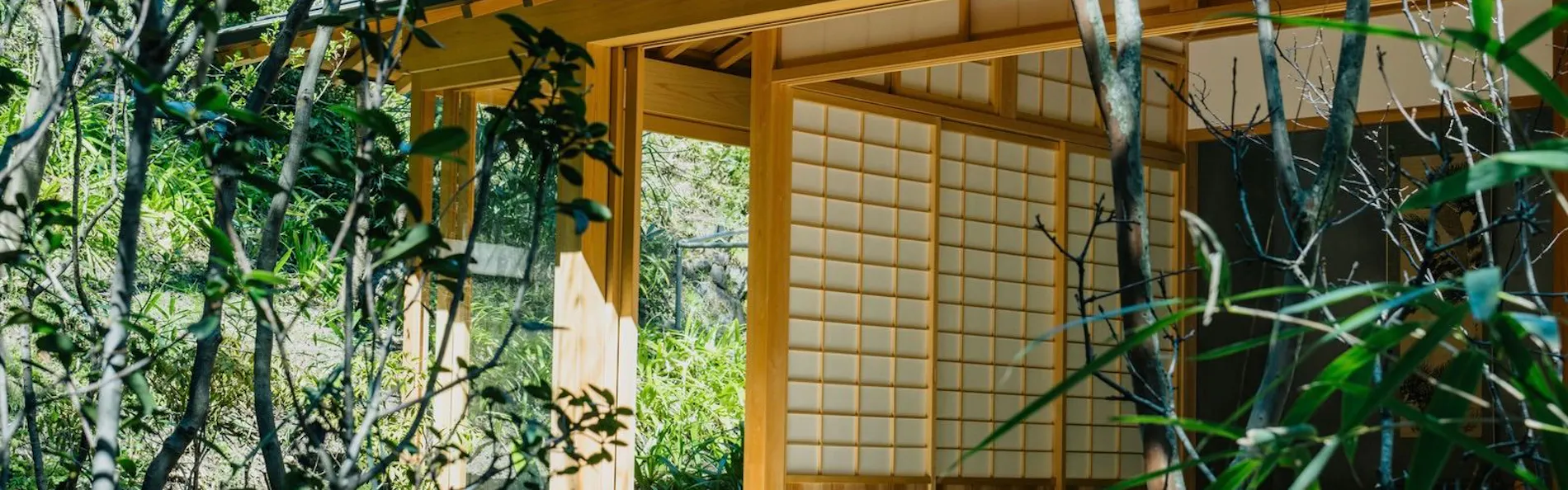 NIWA KAMAKURA