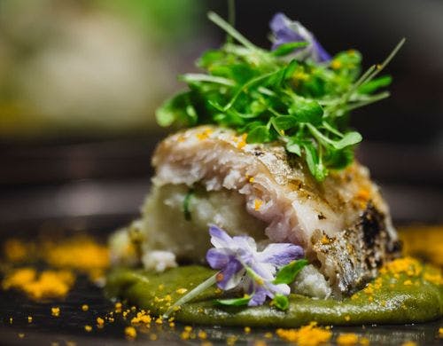 NIWA鎌倉 ディナー風景