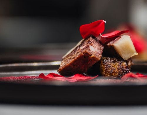 NIWA鎌倉 ディナー風景