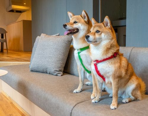 心地よい風が広がるファイヤーピット