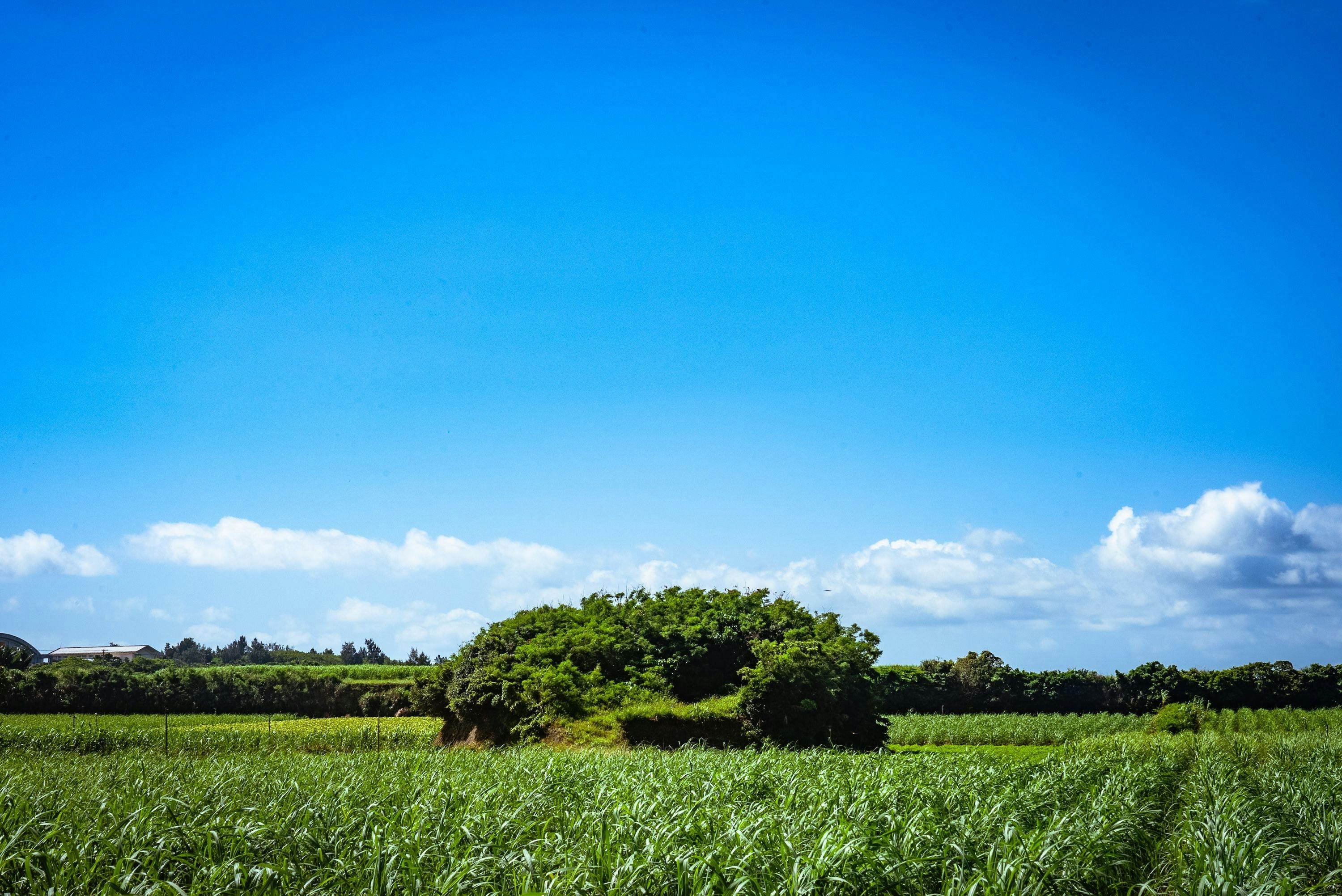 บริเวณโดยรอบ