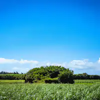 บริเวณโดยรอบ