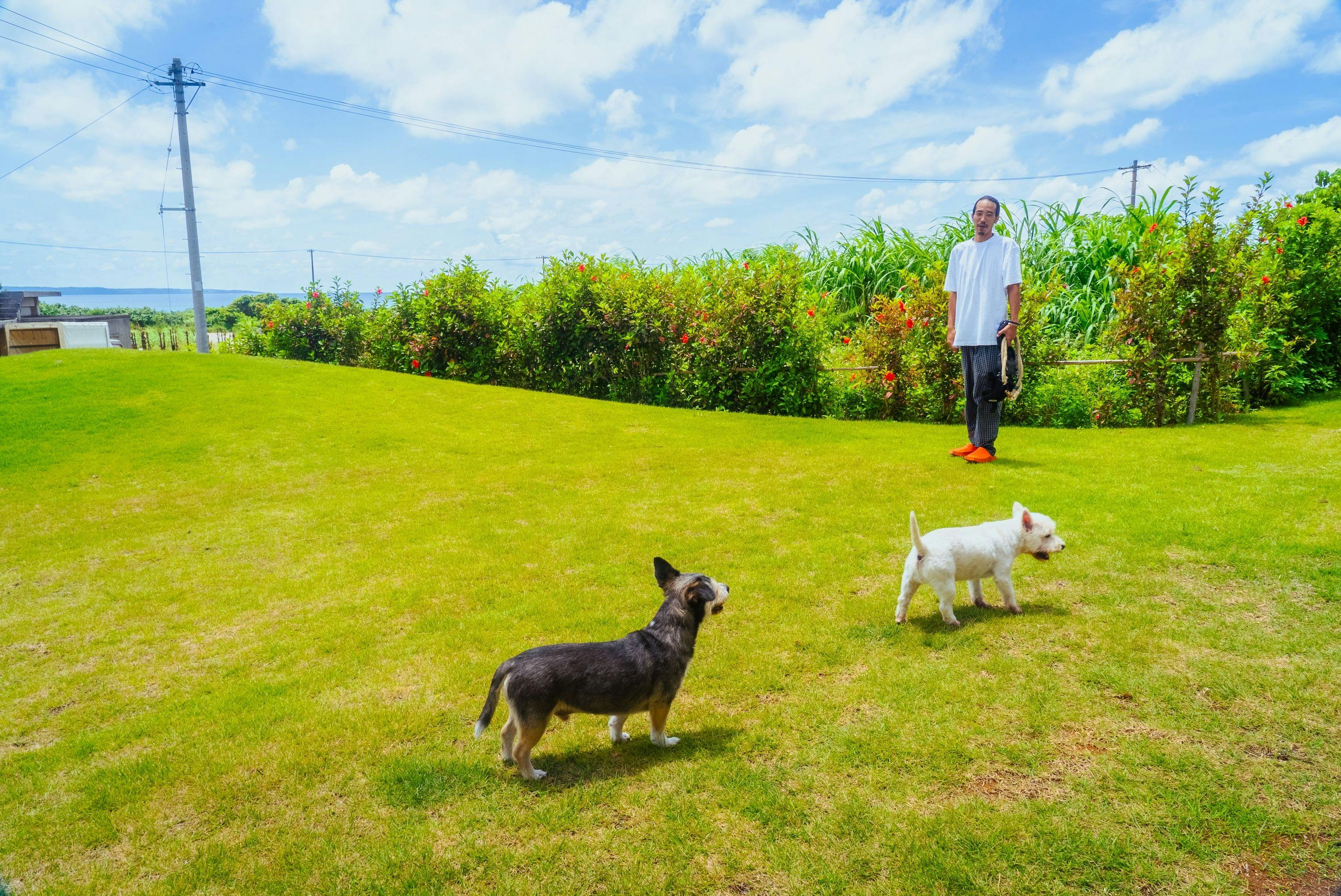 Black Diamond Miyakojima
