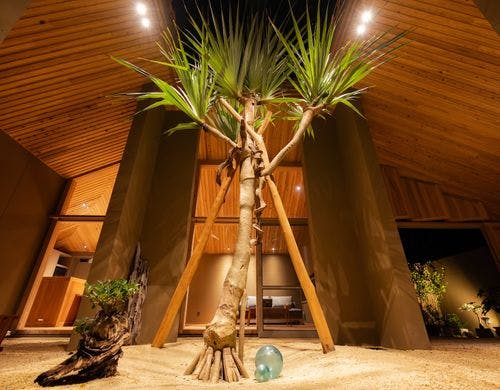 中庭のシンボル 「タコノキ」