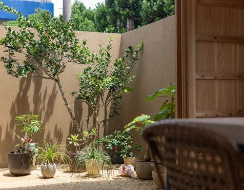 南国ならではの植物をゆっくり観察できます