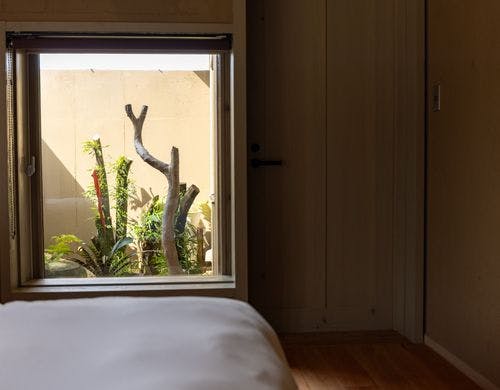 寝室から眺める坪庭