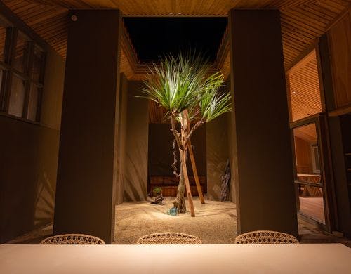 アウトドアリビング側から眺めた中庭