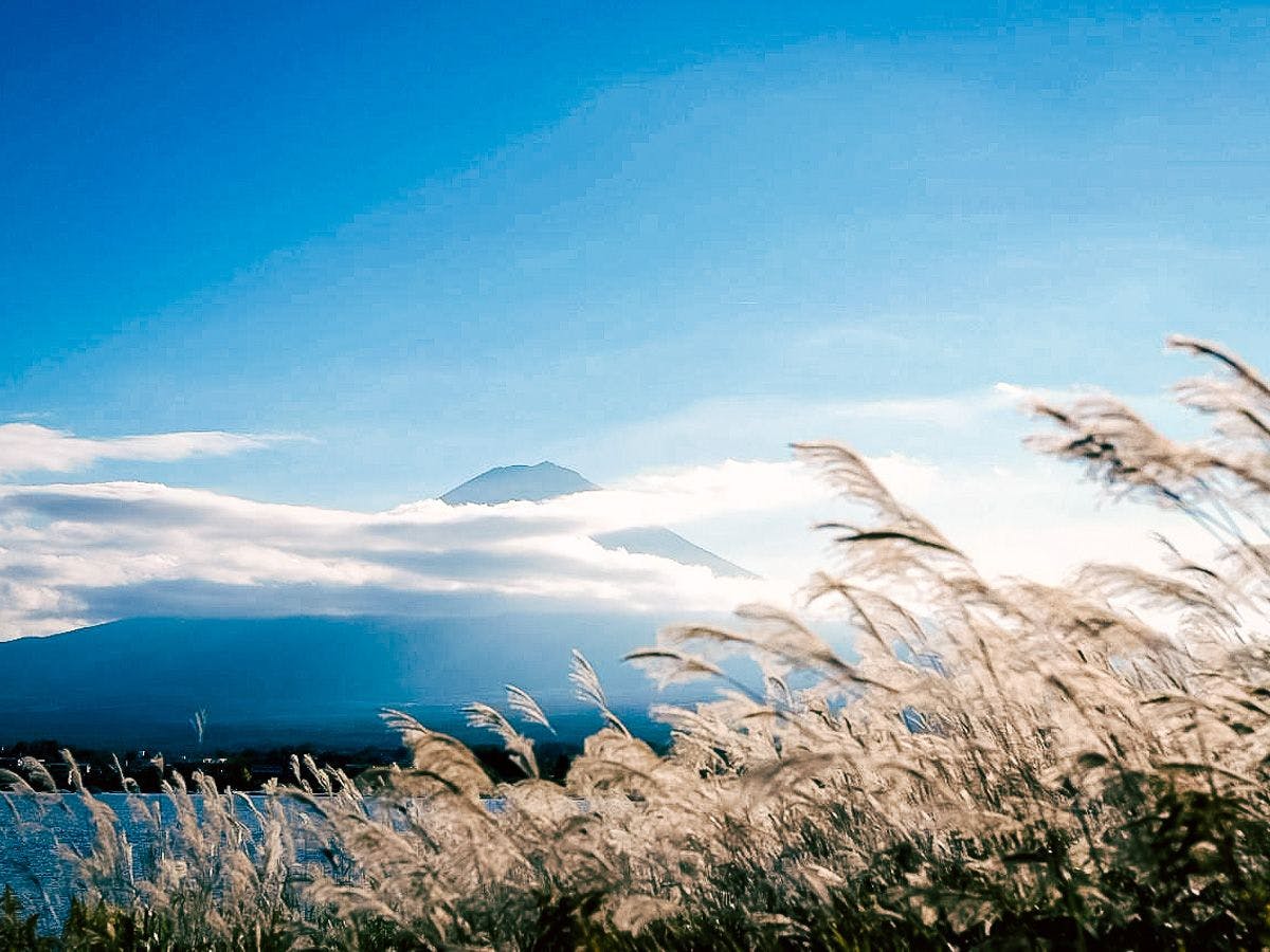 【บริเวณโดยรอบ】