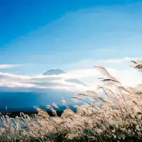 【บริเวณโดยรอบ】