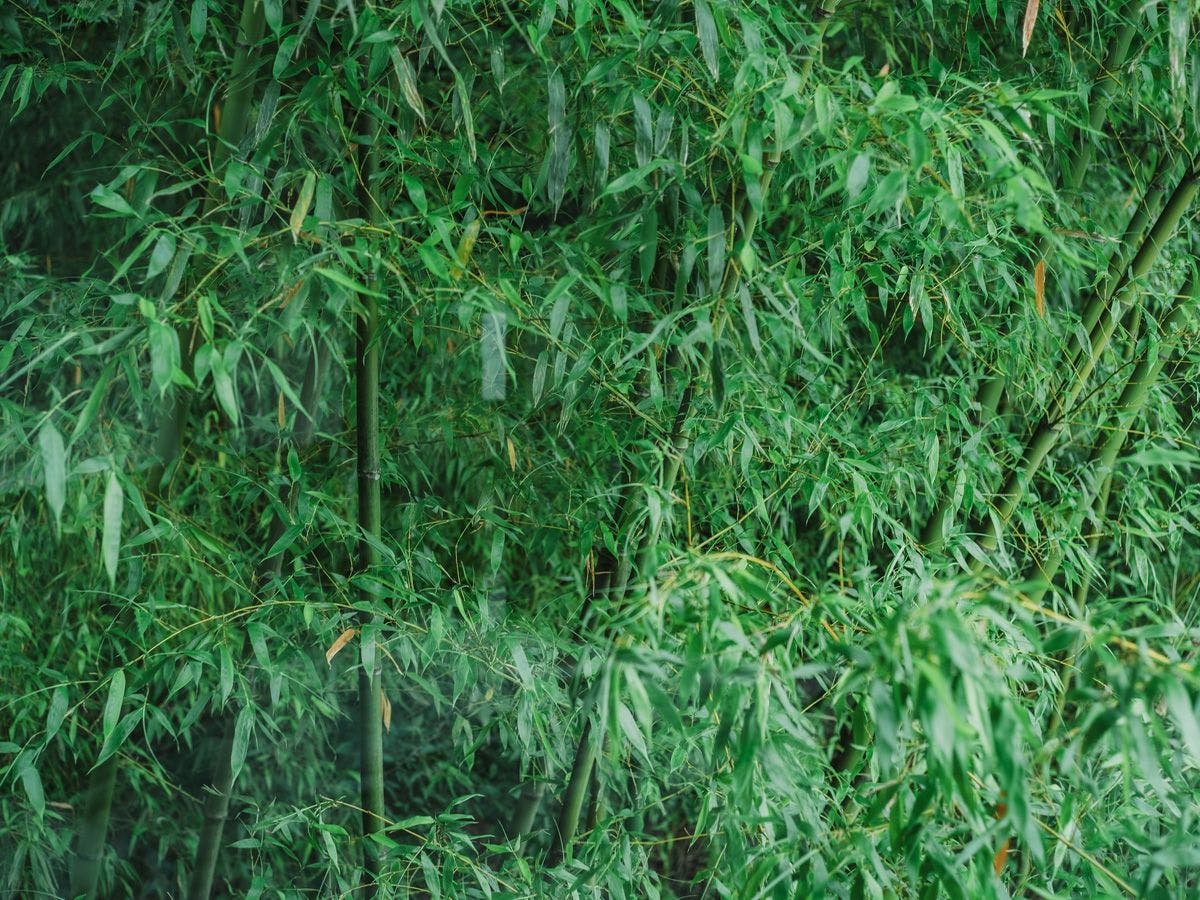 THE LAKE 河口湖暮らし
