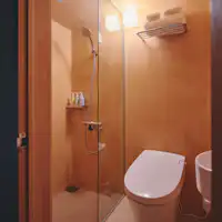 左官職人が仕上げたトイレ・シャワー室