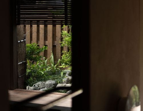 客室からの眺め