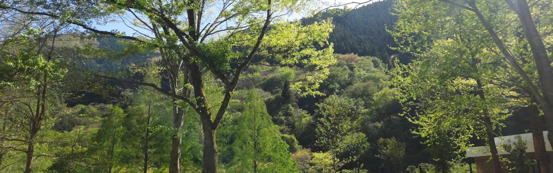 一棟貸し COROHIMERIVER