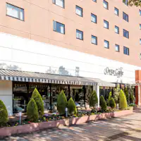 宮崎市內觀光及美食的便捷交通。