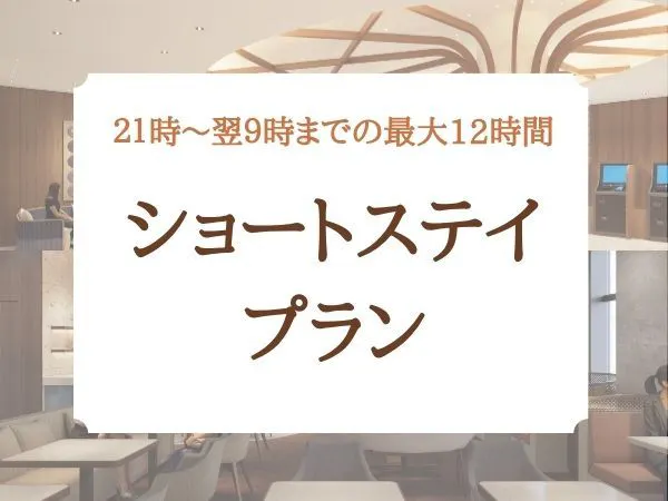 21時から最大12時間滞在【素泊まり】翌日9時チェックアウト