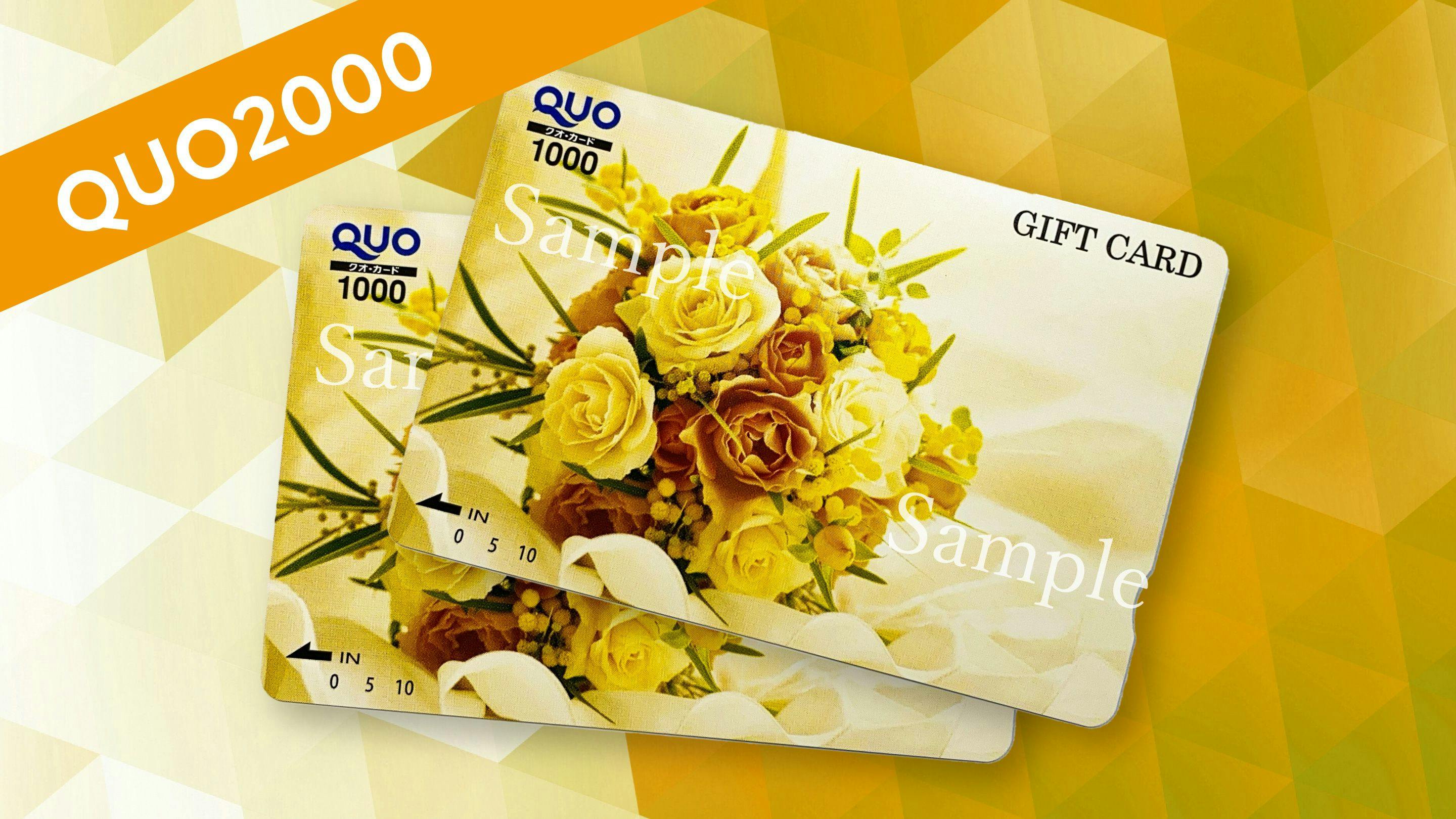 【いろいろ使える】QUOカード（2000円分）付プラン