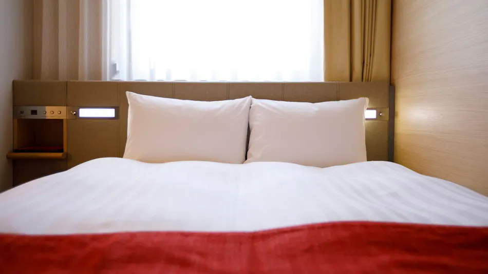 Hotel Sardonyx Ueno
