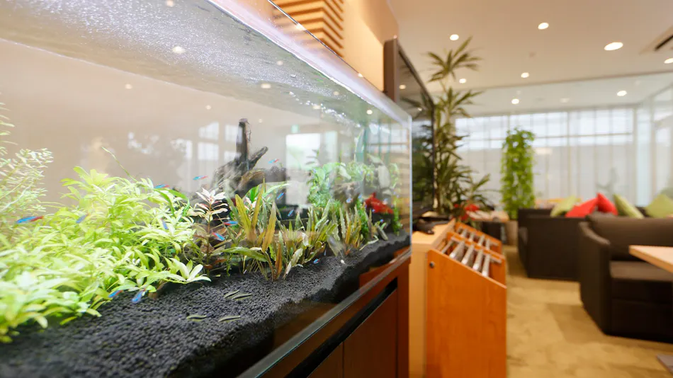 Hotel Urban Grace Utsunomiya