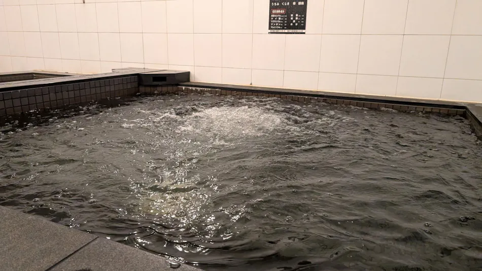 Green Rich Hotel Matsue Ekimae (Artificial Hot Spring Futamata Yunohana)