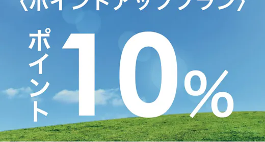 ※【ポイント10%】ビジネス出張応援ポイントアッププラン【1名利用】(朝食なし)