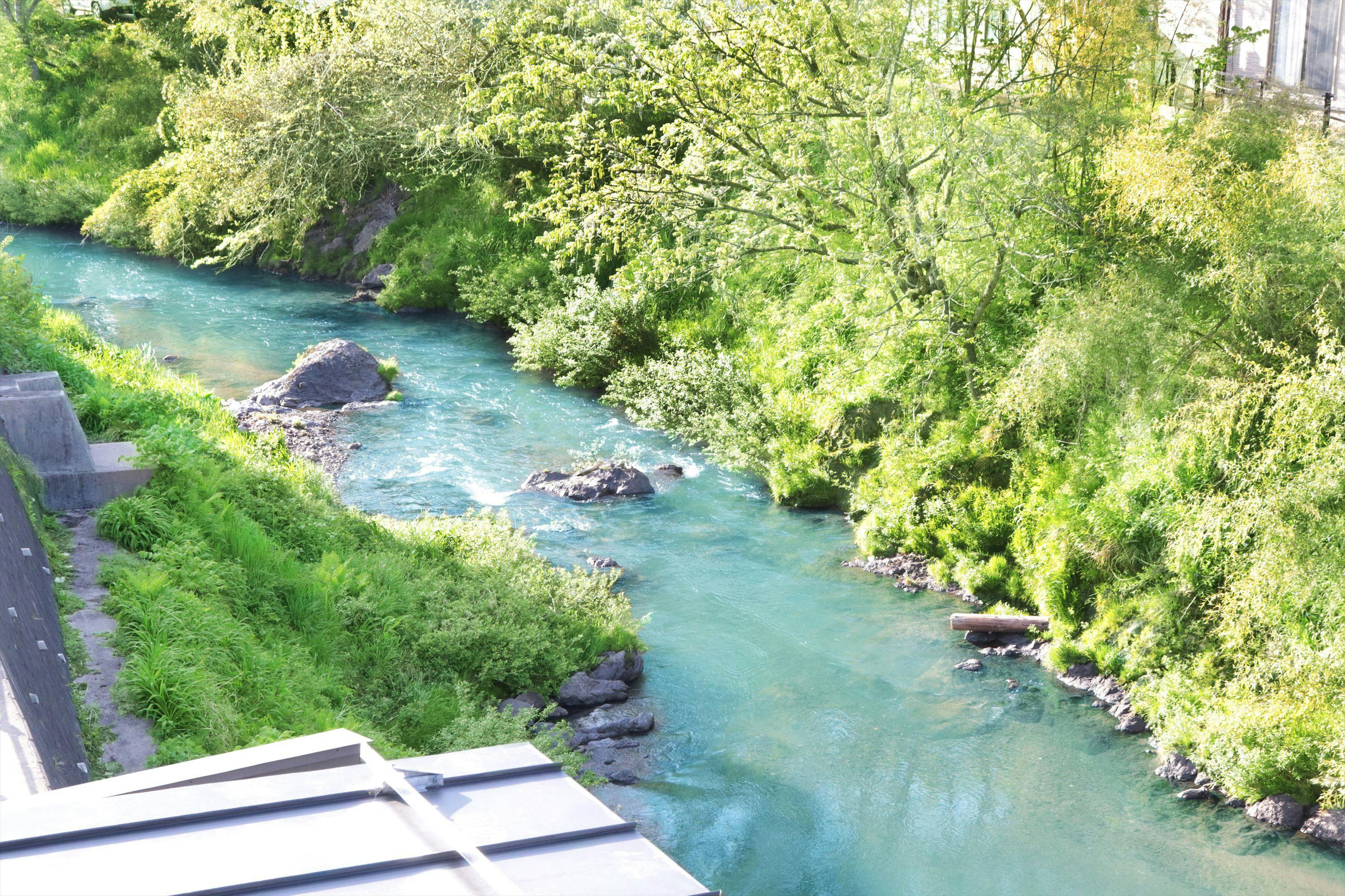 본관 디럭스 트윈에서의 전망.