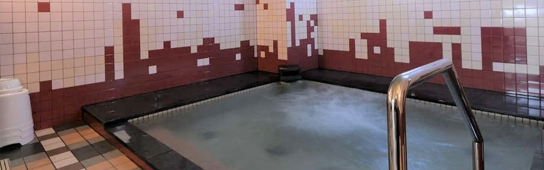 グリーンリッチホテル鳥取駅前(人工温泉 二股湯の華)