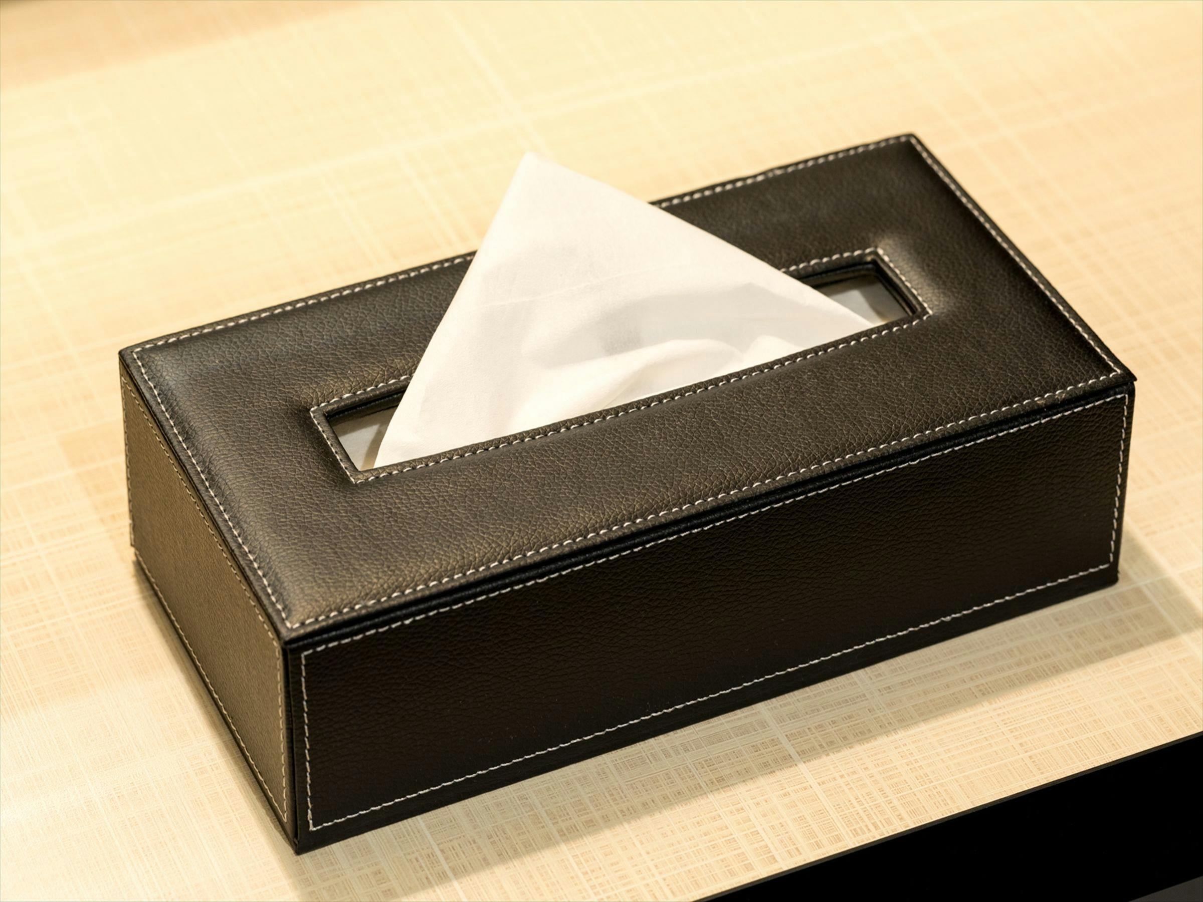 Green Rich Hotel Tottori Ekimae (Artificial Hot Spring Futamata Yunohana)