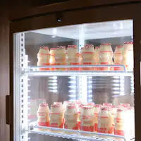 【サービス】乳酸菌飲料