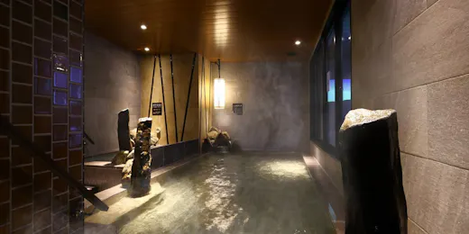 天然温泉 富士桜の湯 ドーミーインEXPRESS富士山御殿場