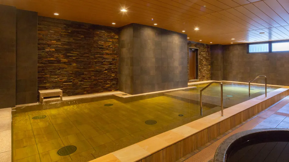 Deep Water Onsen Osaka Hinode Hotel