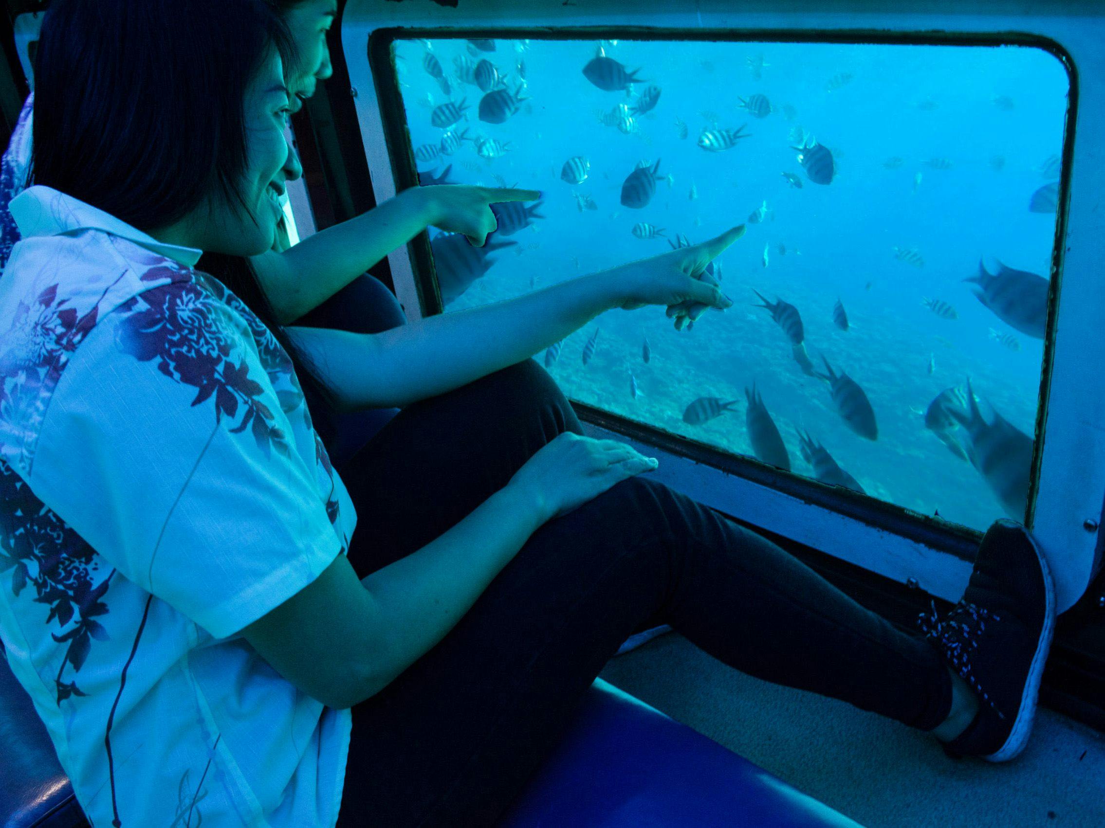 【周辺アクティビティ紹介】