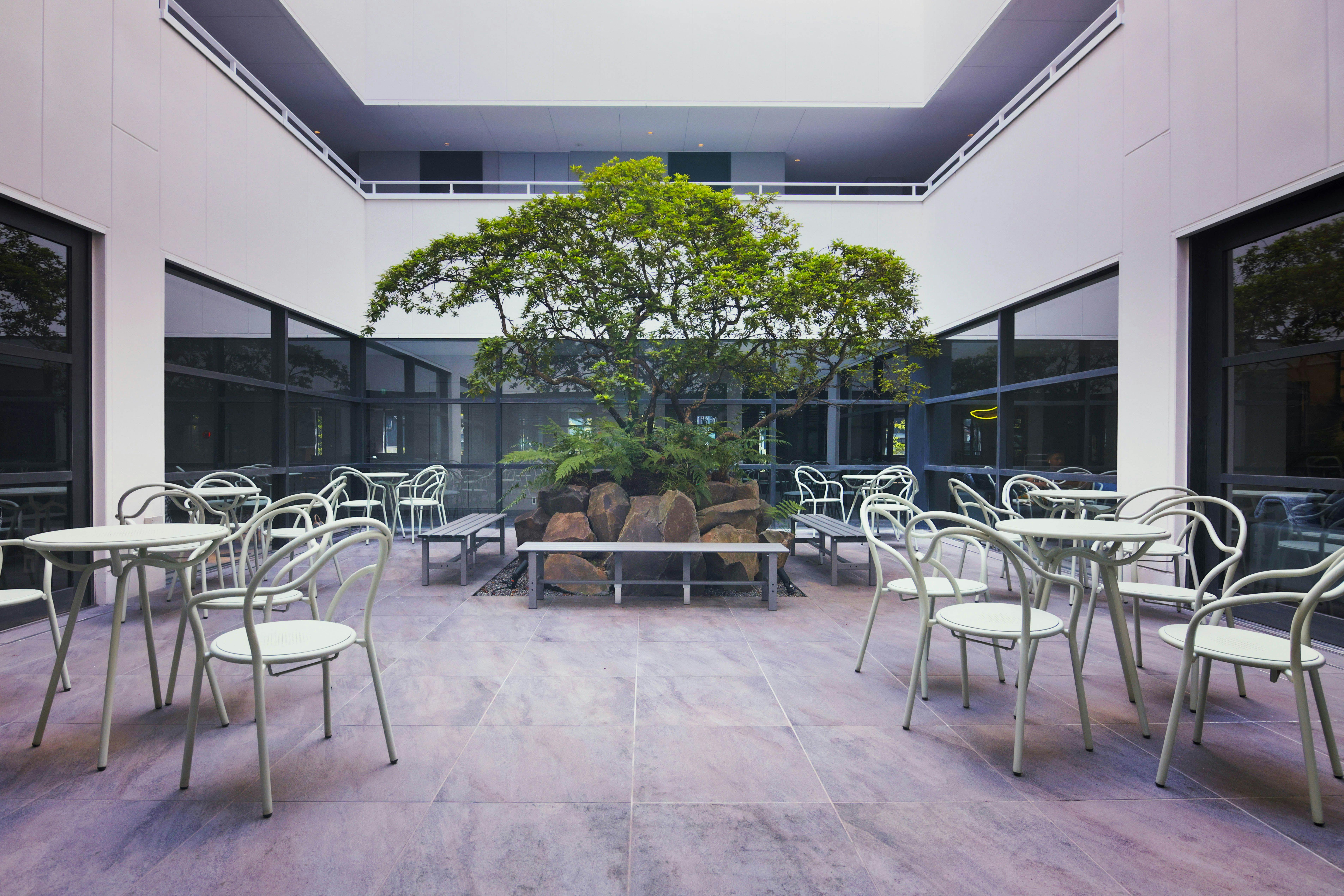 ลานกลาง