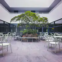 ลานกลาง