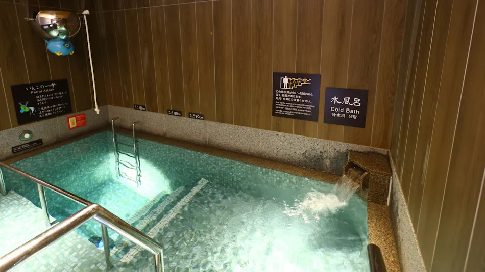 Natural Onsen Mitoya no Yu Dormy Inn EXPRESS Izumo no Kuni Unnan
