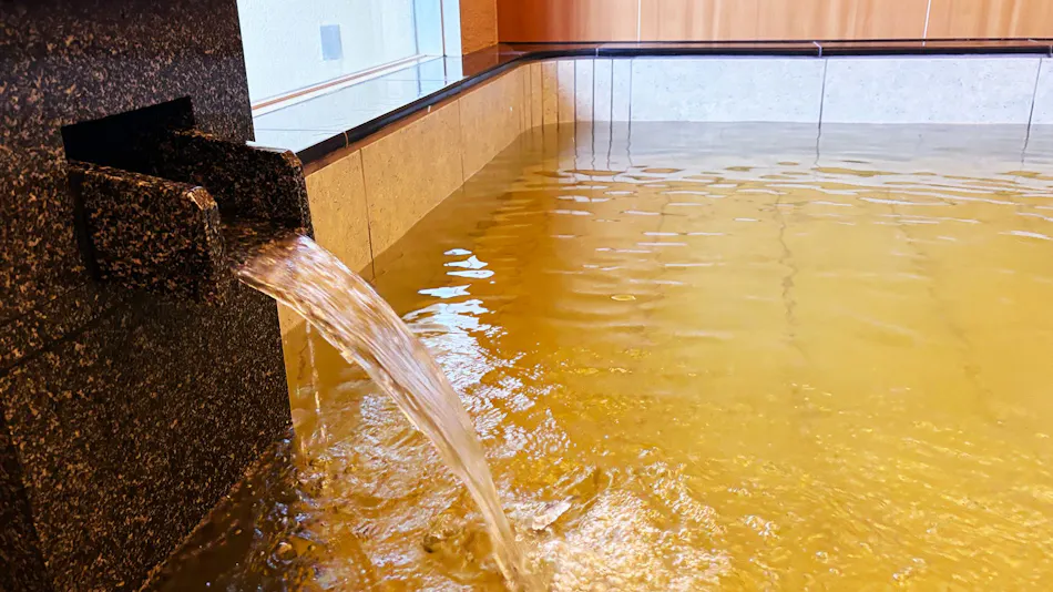 Kamisuwa Onsen Aburaya Ryokan