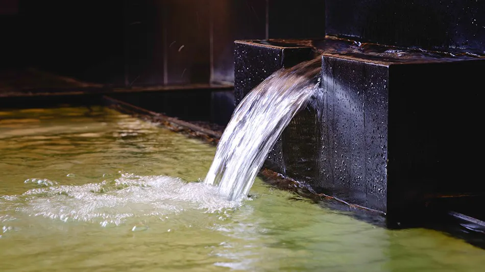 Natural Hot Spring in the City Center - Nagoya Crown Hotel