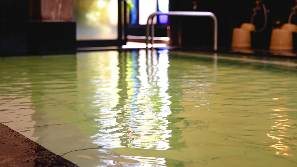 Natural Hot Spring in the City Center - Nagoya Crown Hotel
