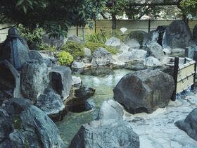 石和温泉　美と健康と癒しの宿　ホテル八田