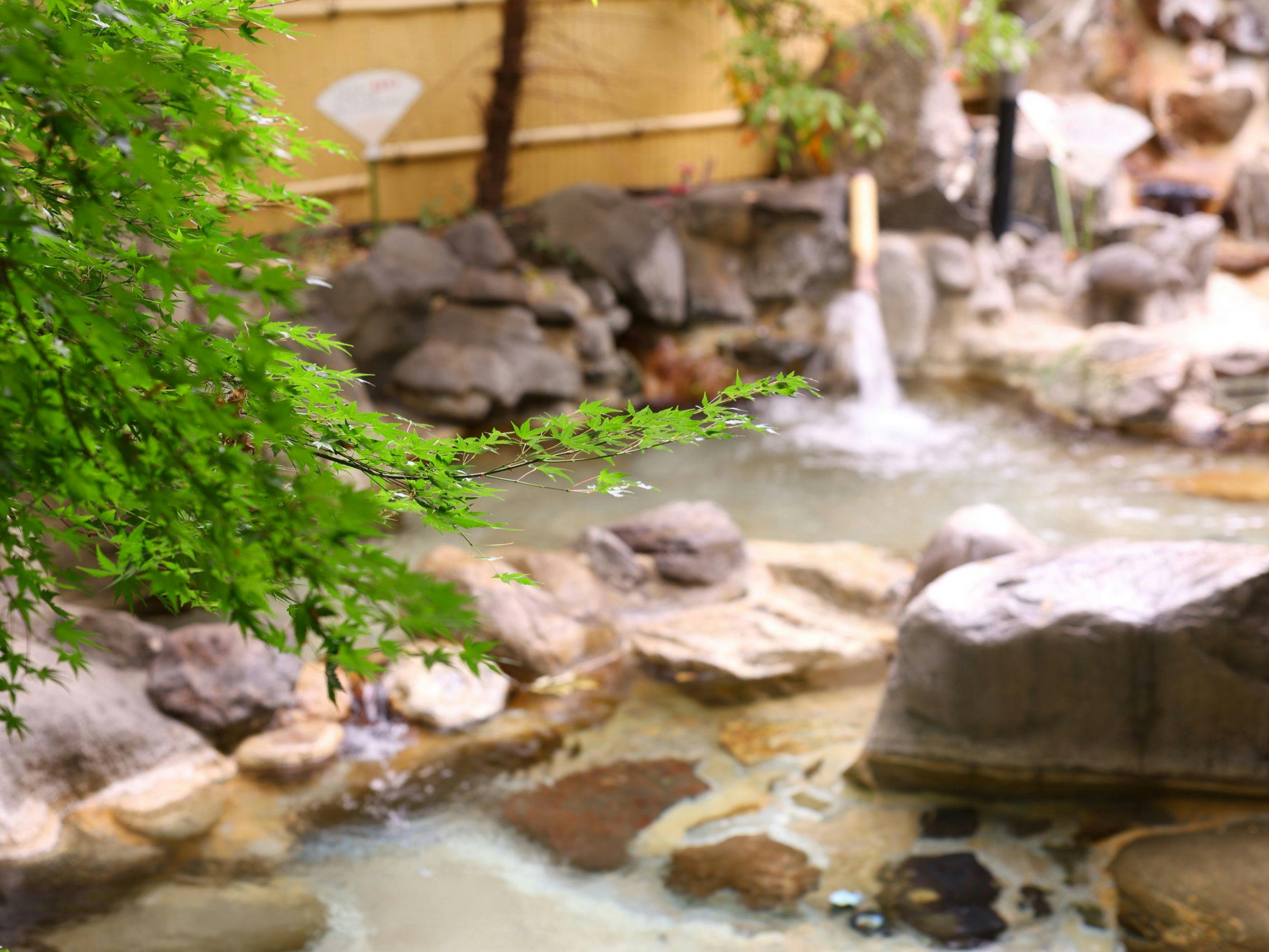 Hotel Hatta