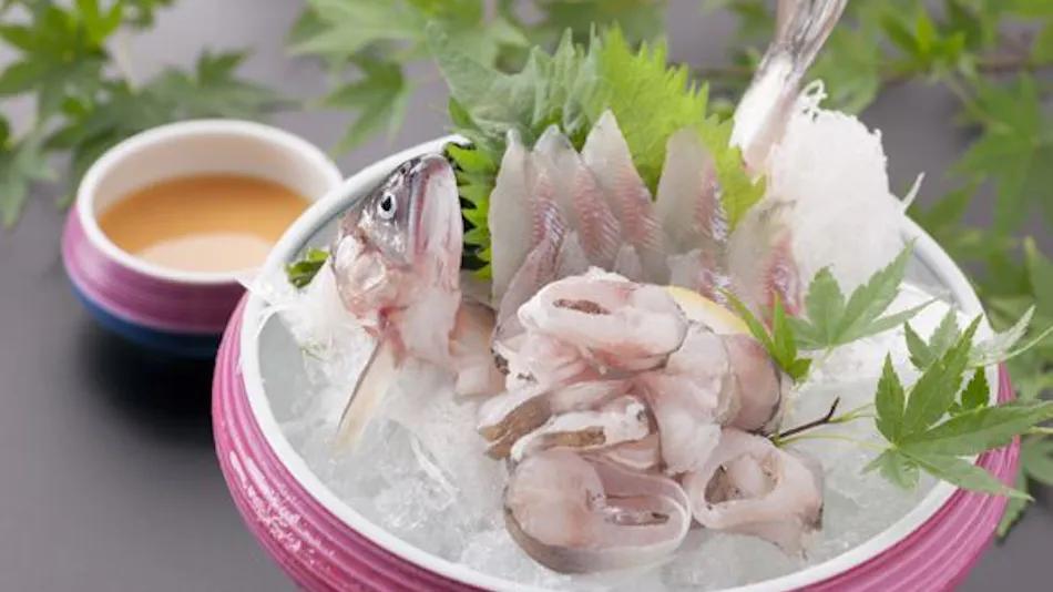 Taisenkaku